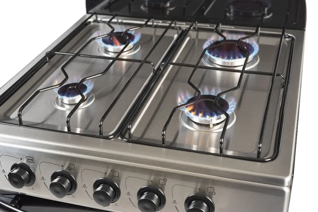 FLOR 5518F DETALLE HORNALLAS.webp