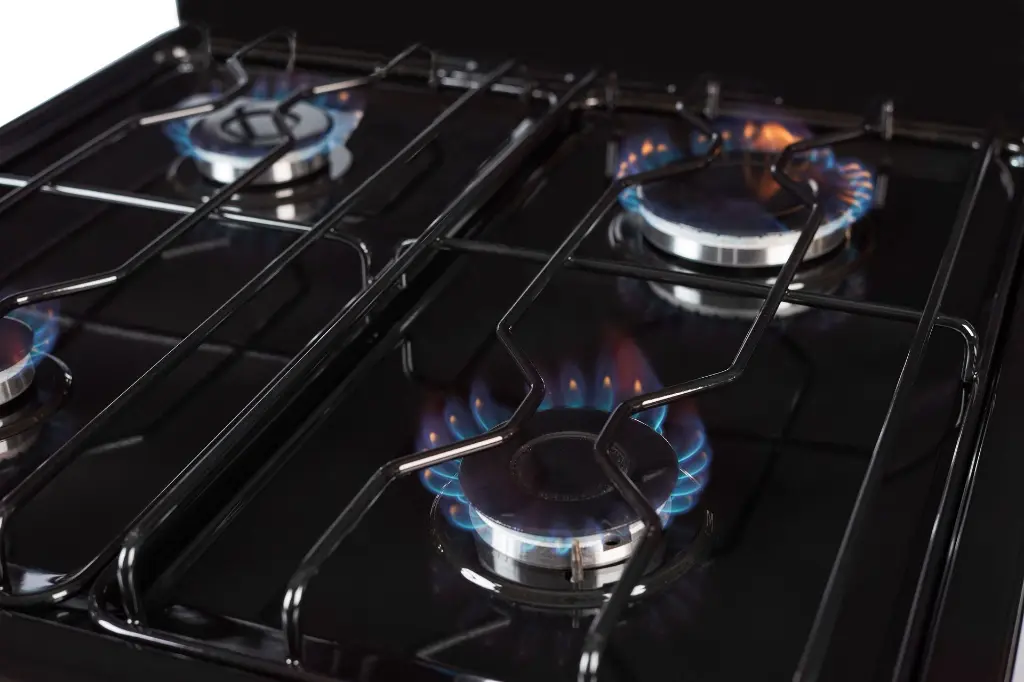 FLOR 5517F DETALLE LLAMA EN HORNALLA.webp