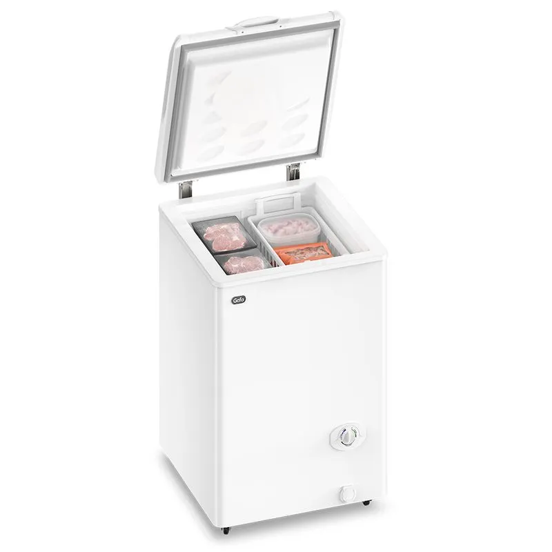 FREEZER GAFA117 LTS -FGHI100B
