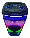 PARLANTE MARCA WINCO MODELO W254 