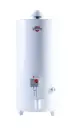 TERMOTANQUE SHERMAN 80Lts GAS CARGA SUPERIOR 